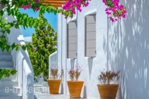 Delmar Apartments & Suites_best deals_Apartment_Cyclades Islands_Milos_Apollonia