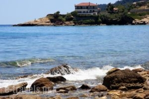 Faros View_accommodation_in_Hotel_Aegean Islands_Thassos_Thassos Chora