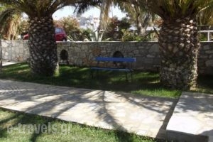 Chryssalis Garden Apartments_best prices_in_Apartment_Cyclades Islands_Naxos_Naxos chora