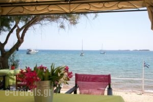 Kefalonia Beach Hotel & Bungalows_holidays_in_Hotel_Ionian Islands_Kefalonia_Kefalonia'st Areas