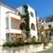 Paradise Design Apartments_holidays_in_Apartment_Cyclades Islands_Andros_Batsi