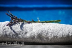 Country Hotel Triantafillies_holidays_in_Hotel_Thessaly_Magnesia_Neochori