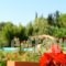 Simatos Apartments & Studios_lowest prices_in_Apartment_Ionian Islands_Kefalonia_Kefalonia'st Areas