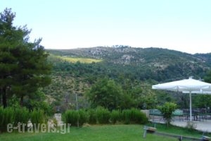 Menir Luxury Apartments_best prices_in_Apartment_Aegean Islands_Thasos_Thasos Chora