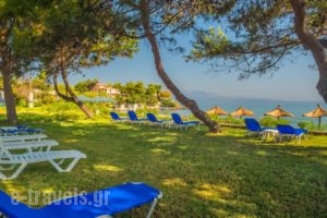 Sunrise Rent Rooms_best prices_in_Room_Ionian Islands_Zakinthos_Zakinthos Rest Areas