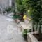 Maleatis Apollo Guesthouse_lowest prices_in_Hotel_Peloponesse_Arcadia_Kosmas