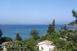 Aliki Studios_best prices_in_Hotel_Ionian Islands_Corfu_Corfu Rest Areas