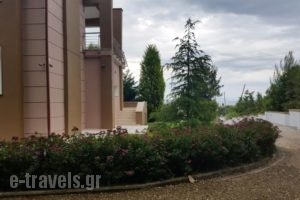Villa Anna Maria_lowest prices_in_Villa_Macedonia_Halkidiki_Kassandreia