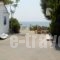 Mandorla Apartments_travel_packages_in_Dodekanessos Islands_Rhodes_Rhodes Areas