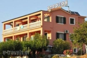 Pavlatos Studios_lowest prices_in_Hotel_Ionian Islands_Kefalonia_Kefalonia'st Areas