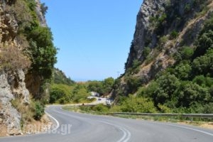 Vanessa Studios_travel_packages_in_Ionian Islands_Zakinthos_Zakinthos Rest Areas