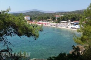 Green Velvet Hotel_best deals_Hotel_Aegean Islands_Thassos_Thassos Chora