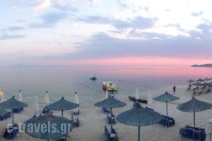 Green Velvet Hotel_travel_packages_in_Aegean Islands_Thassos_Thassos Chora