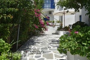 Alpha Studios_holidays_in_Hotel_Cyclades Islands_Paros_Piso Livadi