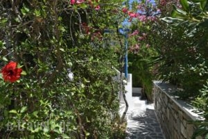 Alpha Studios_best prices_in_Hotel_Cyclades Islands_Paros_Piso Livadi