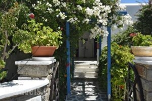 Alpha Studios_lowest prices_in_Hotel_Cyclades Islands_Paros_Piso Livadi