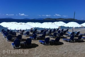 Camping Drepanos_best deals_Hotel_Epirus_Thesprotia_Igoumenitsa