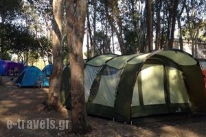 Camping Drepanos_holidays_in_Hotel_Epirus_Thesprotia_Igoumenitsa