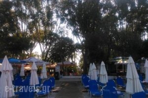Camping Drepanos_best prices_in_Hotel_Epirus_Thesprotia_Igoumenitsa