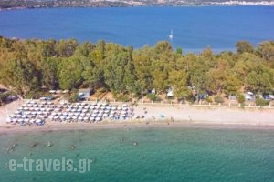 Camping Drepanos_lowest prices_in_Hotel_Epirus_Thesprotia_Igoumenitsa