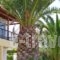 Dina Apartments_travel_packages_in_Crete_Chania_Almyrida