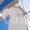 Kerame Studios & Apartments_holidays_in_Apartment_Aegean Islands_Ikaria_Evdilos