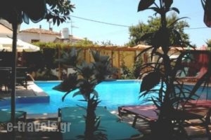 Aegeon Hotel_best deals_Hotel_Aegean Islands_Samos_Karlovasi