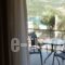 Ilianthos Apartments & Rooms_best prices_in_Room_Ionian Islands_Lefkada_Lefkada's t Areas