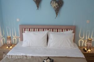 Ilianthos Apartments & Rooms_best deals_Room_Ionian Islands_Lefkada_Lefkada's t Areas