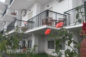 Dinos Studios_accommodation_in_Hotel_Ionian Islands_Zakinthos_Zakinthos Rest Areas