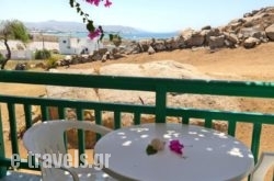 Panoramic View_s __1