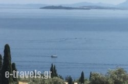 Zeus Apartments in Corfu Rest Areas, Corfu, Ionian Islands