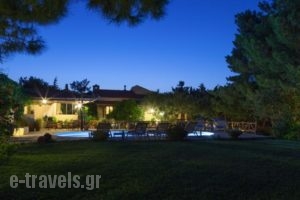 Agapi Villa_best prices_in_Villa_Crete_Heraklion_Archanes