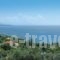 Selini Villa_lowest prices_in_Villa_Ionian Islands_Corfu_Corfu Rest Areas