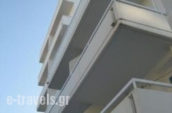 Villa Helena_s __1
