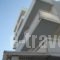 Villa Helena_accommodation_in_Villa_Dodekanessos Islands_Rhodes_Paradisi