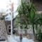 Villa Helena_best prices_in_Villa_Dodekanessos Islands_Rhodes_Paradisi