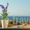 Lygaries Villas_travel_packages_in_Crete_Rethymnon_Stavromenos