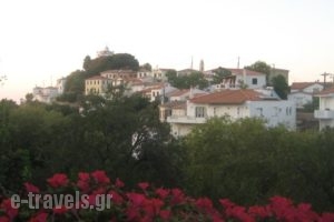 Leventis Studios_accommodation_in_Hotel_Aegean Islands_Samos_Karlovasi