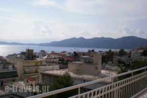 Iason Apartments_holidays_in_Apartment_Central Greece_Evia_Edipsos