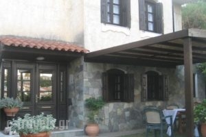 Leventis Studios_holidays_in_Hotel_Aegean Islands_Samos_Karlovasi