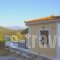 Ano Platanaki_lowest prices_in_Hotel_Aegean Islands_Samos_Samos Chora