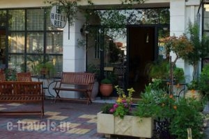 Rex Hotel_accommodation_in_Hotel_Peloponesse_Ilia_Kakovatos