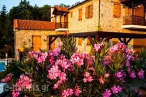 Traditional Guesthouse Eos_holidays_in_Hotel_Thessaly_Larisa_Agiokambos