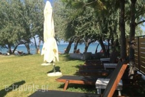 Hotel'S Tella_lowest prices_in_Hotel_Aegean Islands_Thasos_Prinos