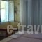 Hotel Akti_holidays_in_Hotel_Central Greece_Fthiotida_Livanates