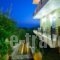 Ionian View Apartments_best prices_in_Apartment_Epirus_Preveza_Parga