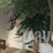 Utopia Hotel Apartments_best deals_Apartment_Ionian Islands_Lefkada_Drimonas