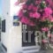 Utopia Hotel Apartments_accommodation_in_Apartment_Ionian Islands_Lefkada_Drimonas