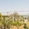 Hotel Alexandros_lowest prices_in_Hotel_Thraki_Xanthi_Porto Lagos